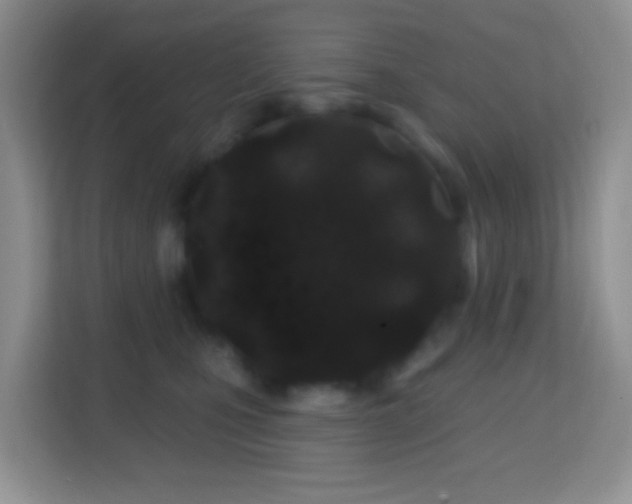 X0000114200471200910091256