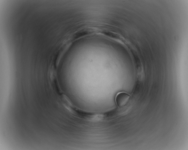 X0000114200474200910091256