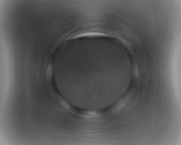 X0000114200475200910091256