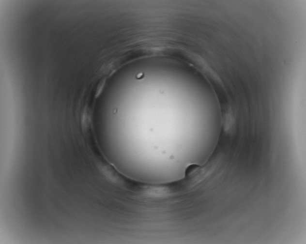 X0000114200476200910091256