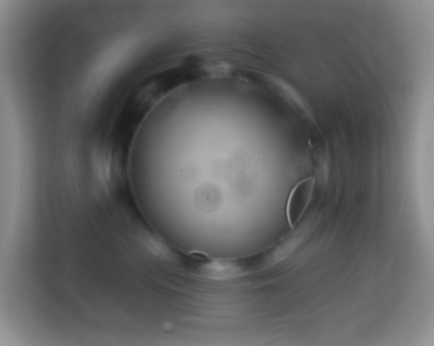 X0000114200477200910091256