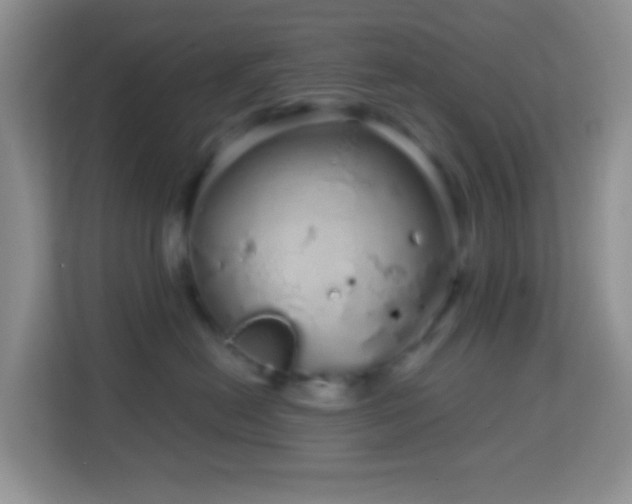X0000114200478200910091256