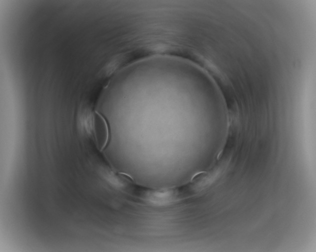 X0000114200479200910091256