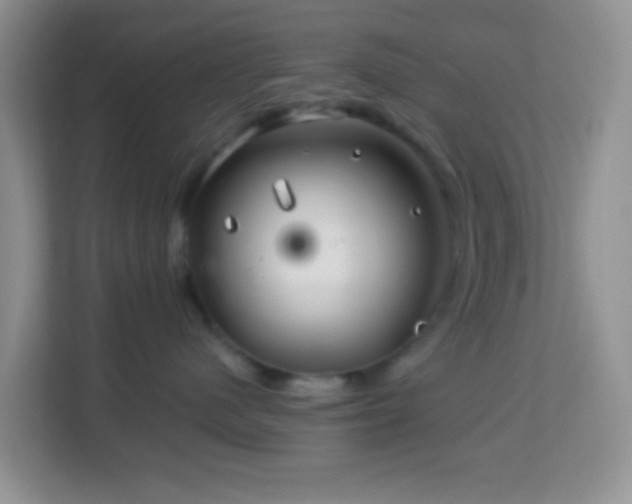 X0000114200480200910091256
