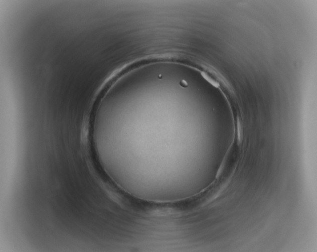 X0000114200483200910091256