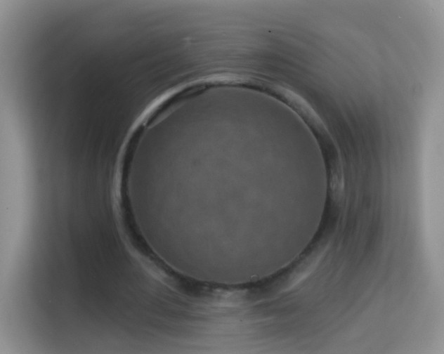 X0000114200484200910091255