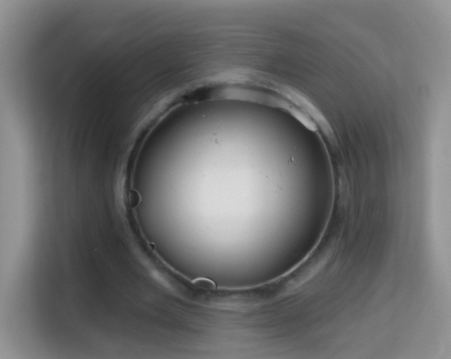 X0000114200485200910091255