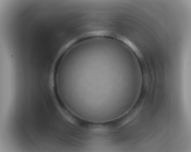 X0000114200486200910091255