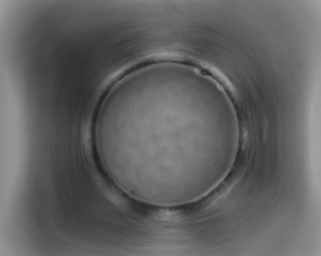 X0000114200487200910091255