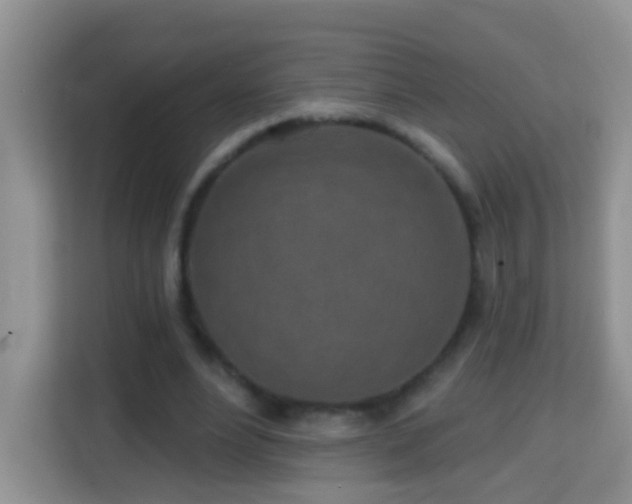 X0000114200488200910091255