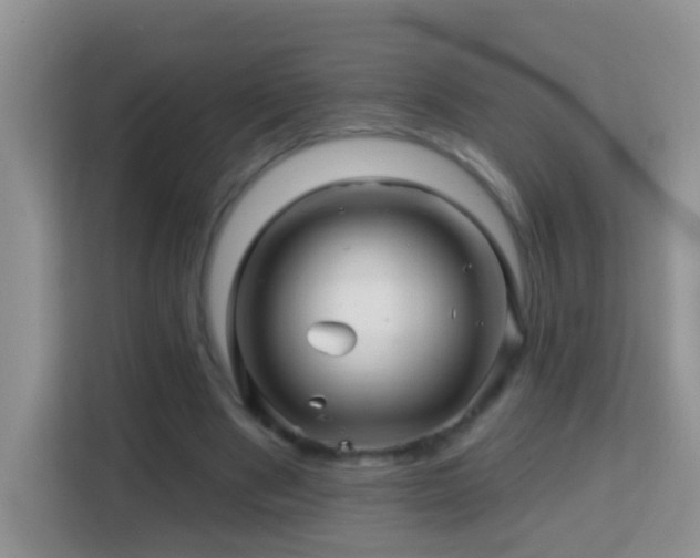 X0000114200489200910091255