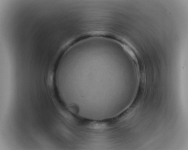 X0000114200491200910091255