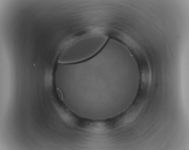 X0000114200492200910091255