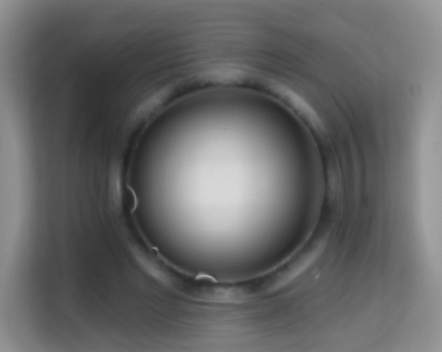 X0000114200493200910091255