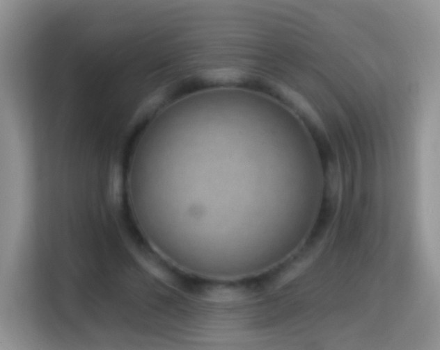X0000114200494200910091255