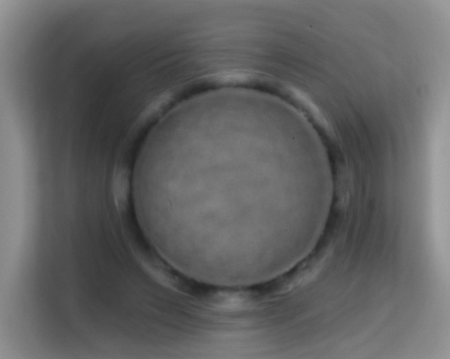 X0000114200495200910091255