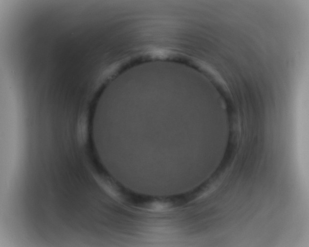 X0000114200496200910091255