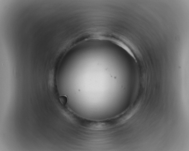 X0000114200497200910091255