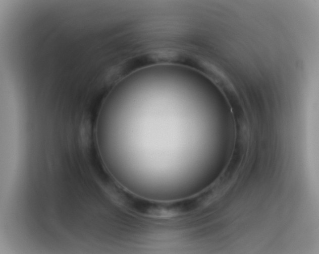 X0000114200498200910091255