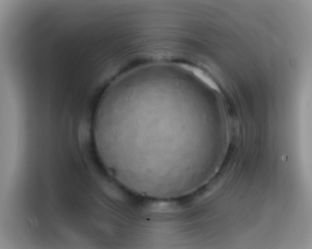 X0000114200499200910091255