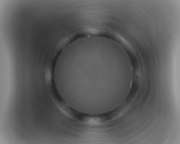 X0000114200500200910091255