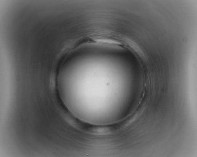 X0000114200501200910091255