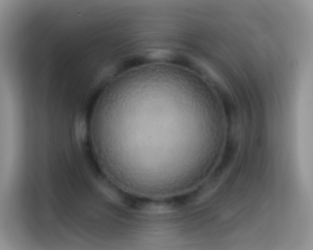 X0000114200502200910091255