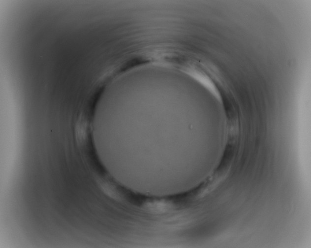 X0000114200503200910091255