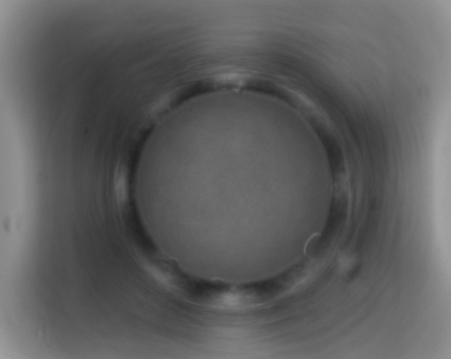 X0000114200504200910091255