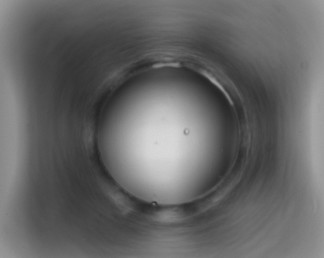 X0000114200505200910091255
