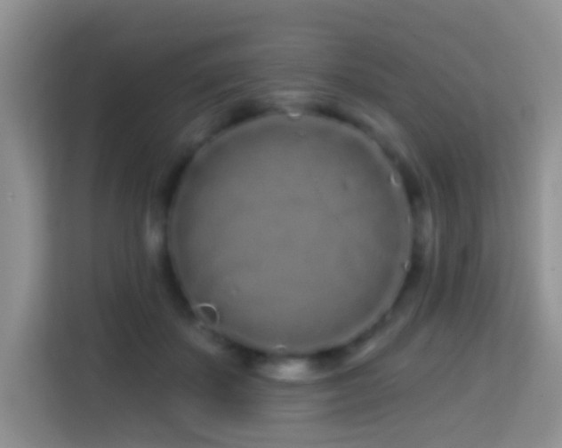 X0000114200507200910091255