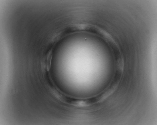 X0000114200509200910091255