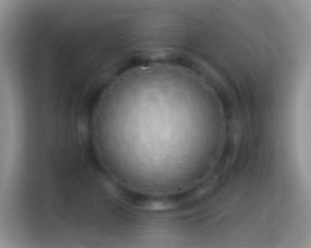 X0000114200510200910091255