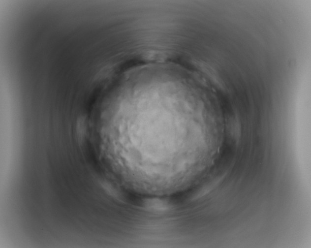 X0000114200511200910091255