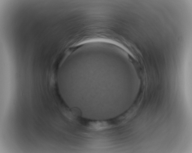X0000114200517200910091255
