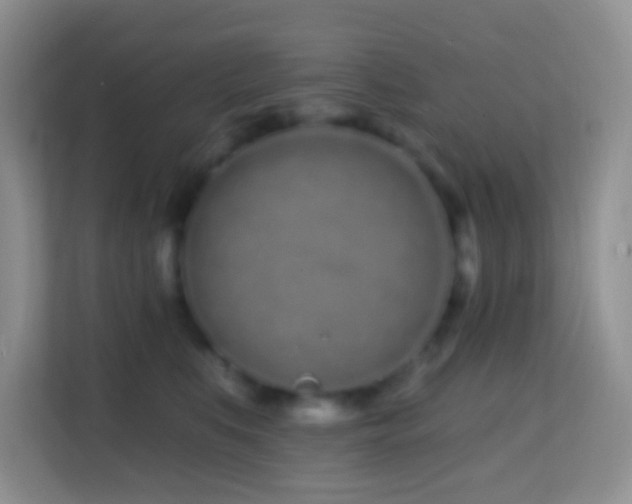 X0000114200519200910091255