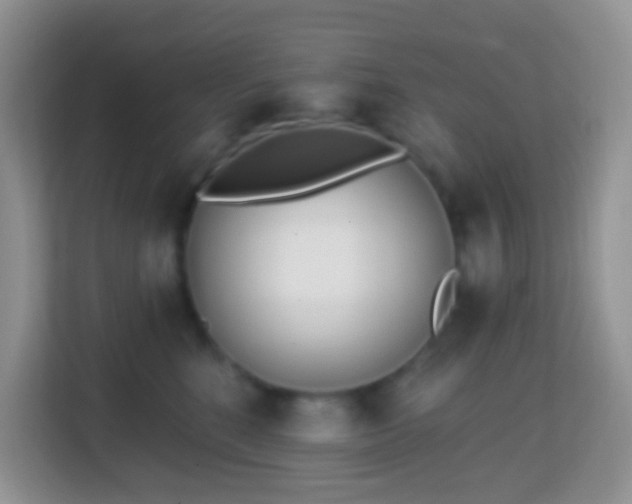 X0000114200520200910091255