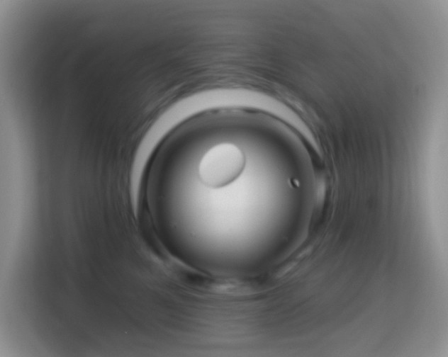 X0000114200521200910091255