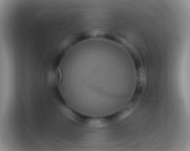X0000114200523200910091255