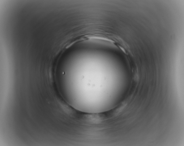 X0000114200524200910091255