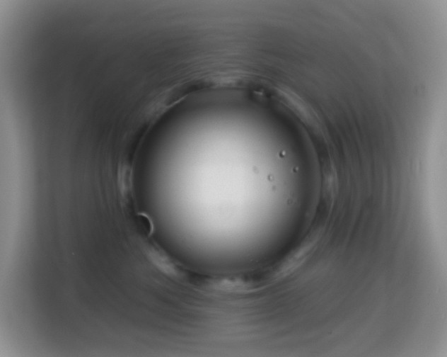 X0000114200525200910091255