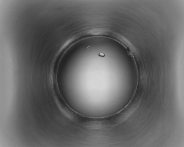 X0000114200530200910091254