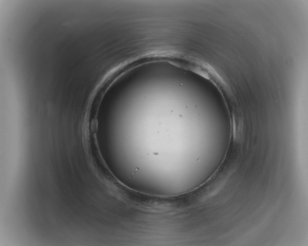 X0000114200531200910091254