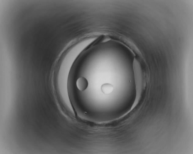 X0000114200534200910091254