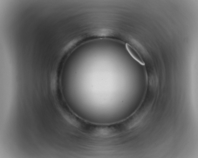 X0000114200540200910091254