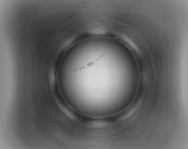 X0000114200541200910091254