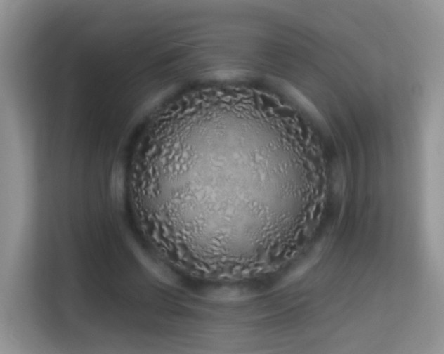 X0000114200542200910091254