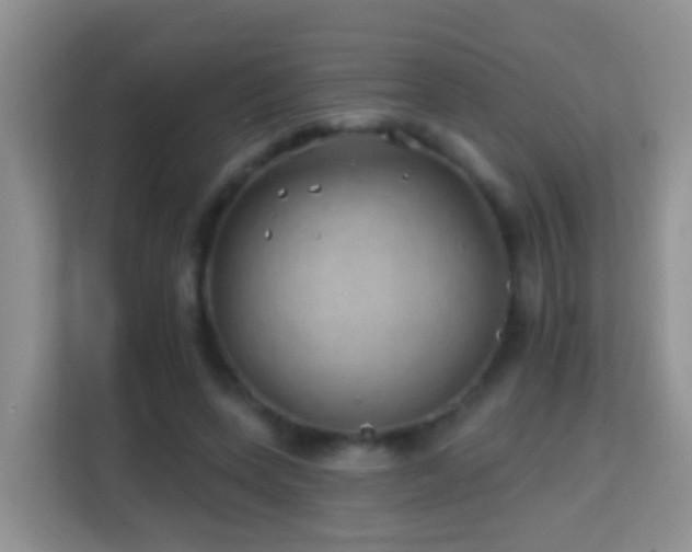 X0000114200543200910091254