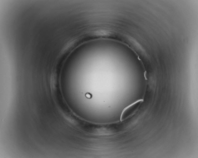 X0000114200544200910091254
