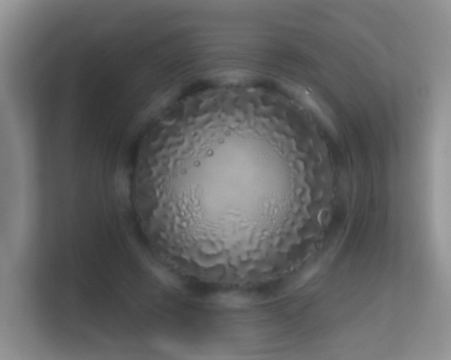 X0000114200545200910091255